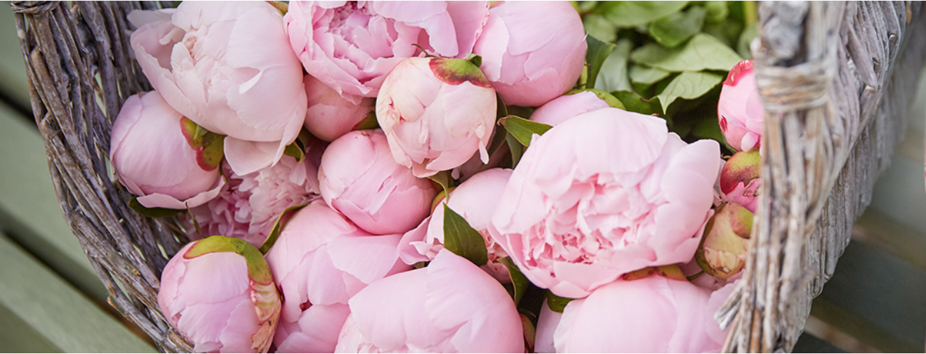 A. Clucas & Co Florists