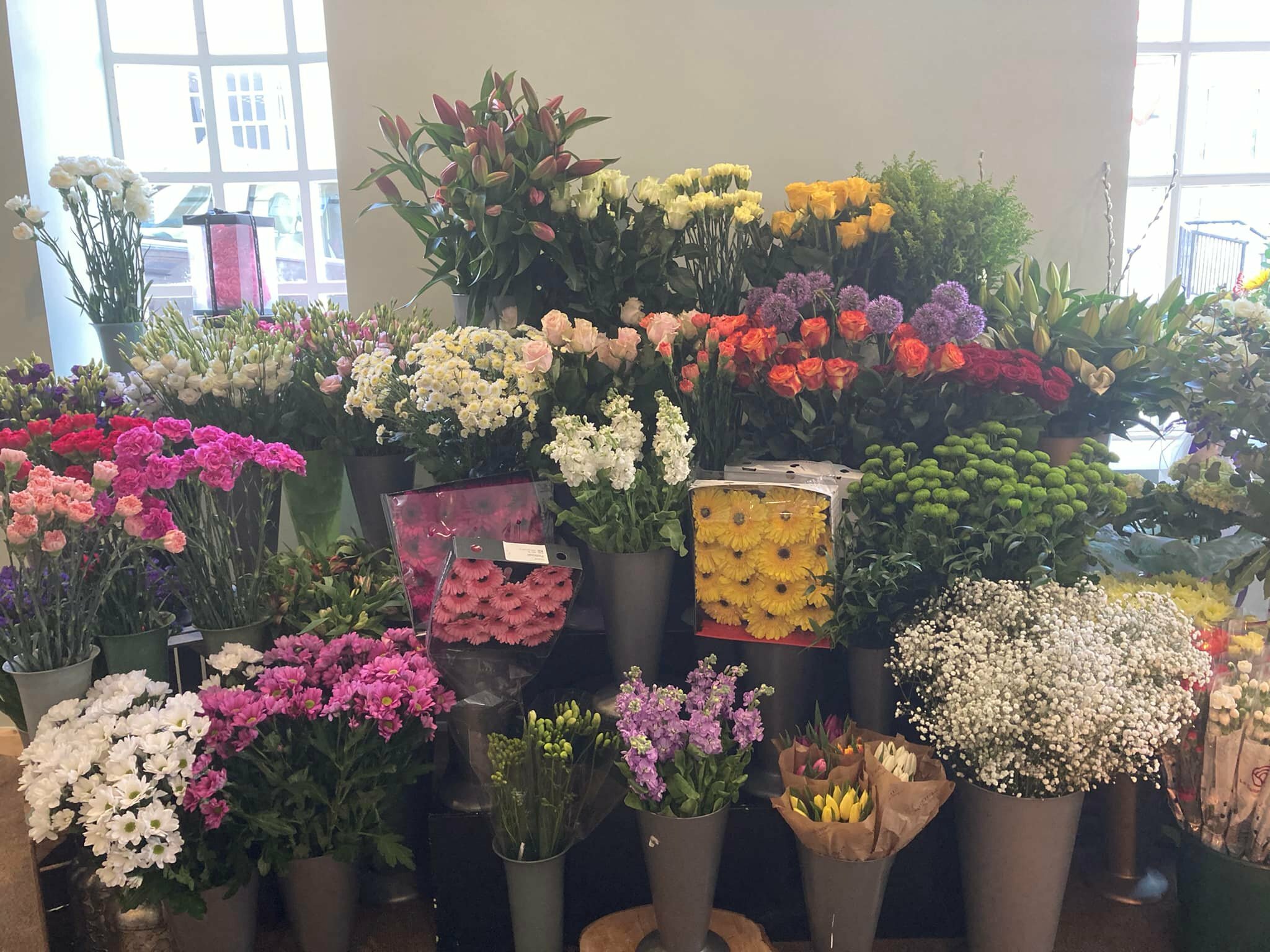 Elaine's Flowers Ltd