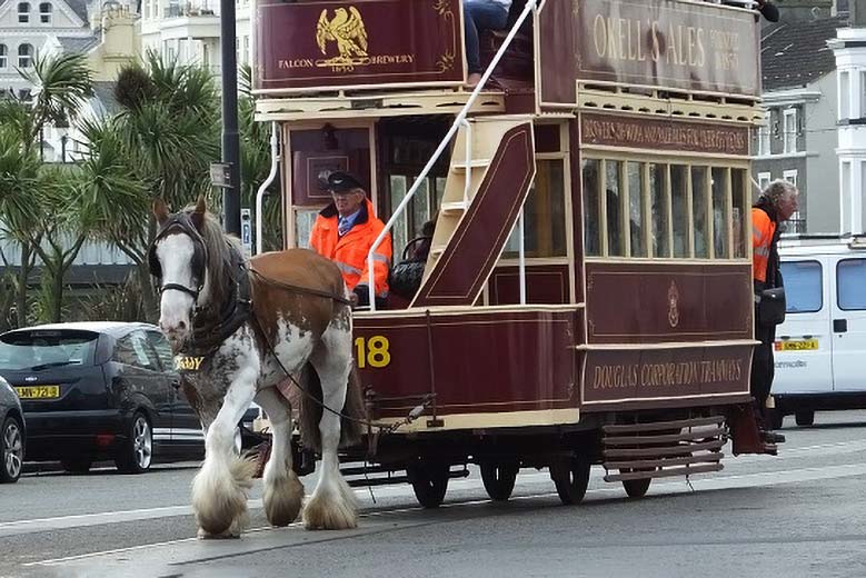 Horse Trams Anniversary