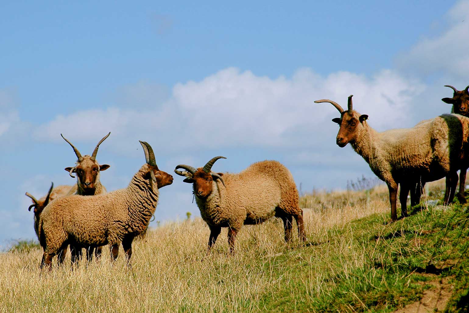 Isle of Man - Agriculture & Fisheries