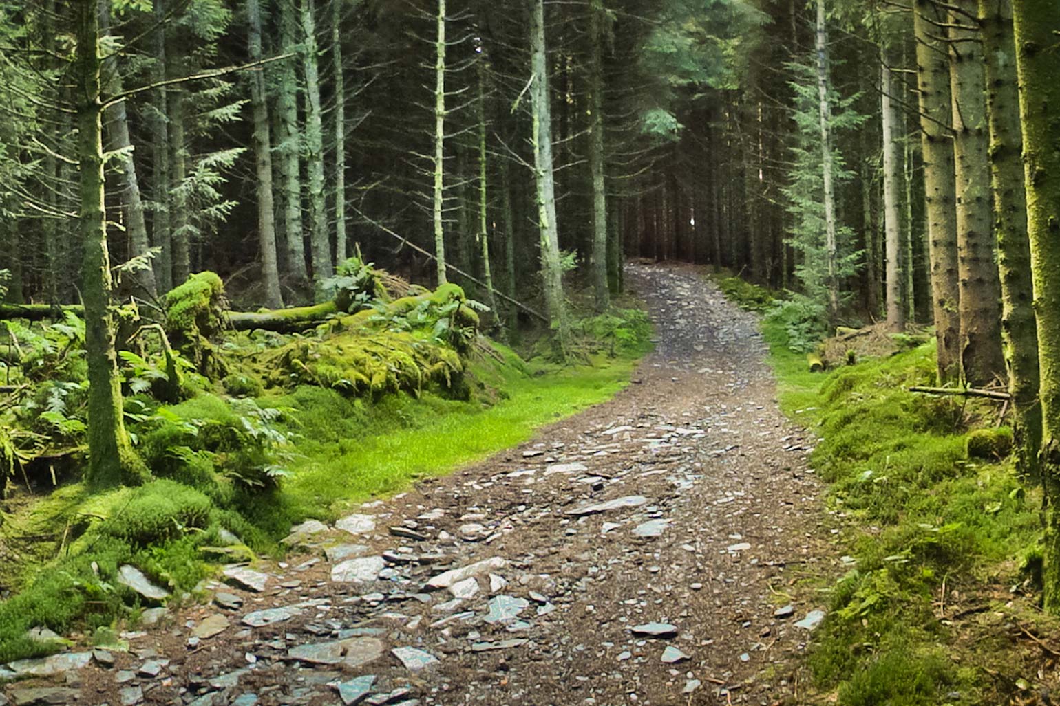 Isle of Man - Forestry