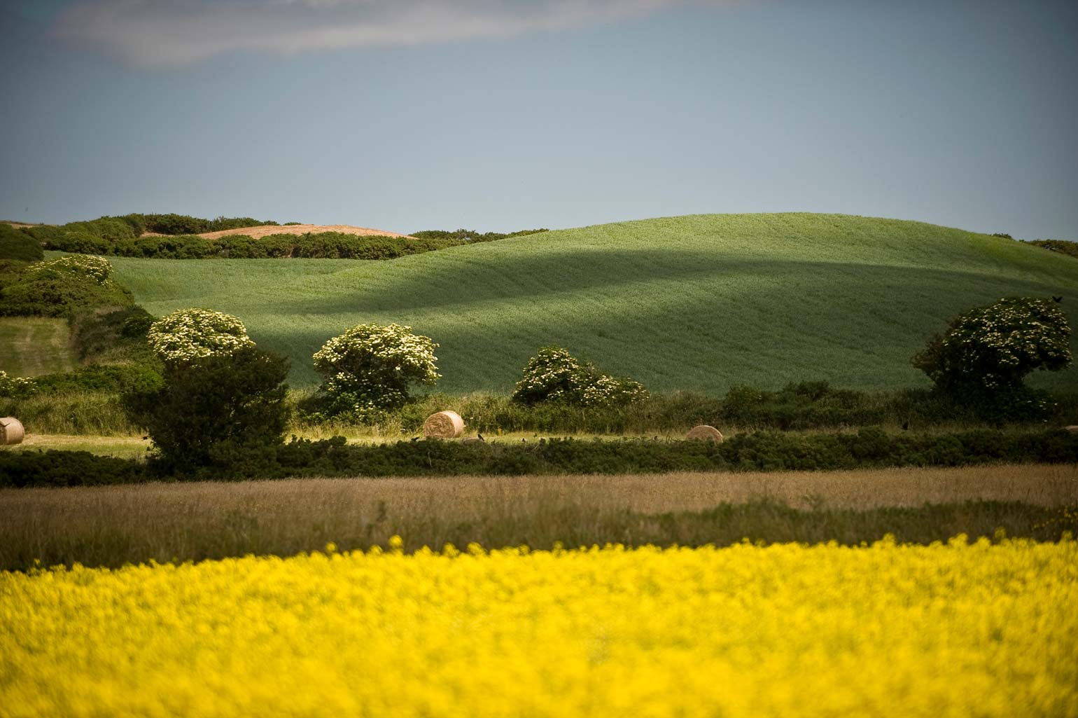 Isle of Man - Farming