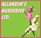 Allansons Nurseries Ltd
